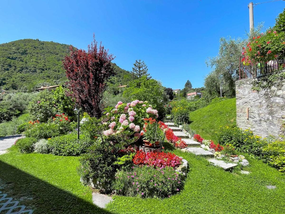 Breva Loft Tra Gli Ulivi Ed Il Apartamento